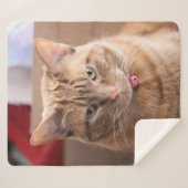 Couverture Sherpa Grave (Devant (Horizontal))