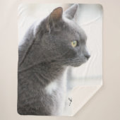 Couverture Sherpa Gray Kitty Chat (Devant)