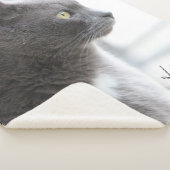 Couverture Sherpa Gray Kitty Chat (3/4)