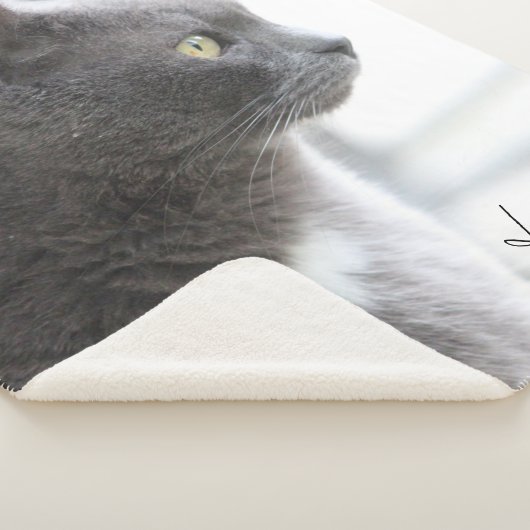 Couverture Sherpa Gray Kitty Chat (3/4)