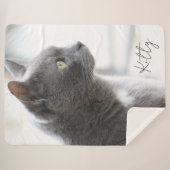 Couverture Sherpa Gray Kitty Chat (Devant (Horizontal))