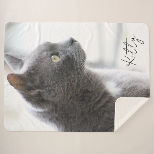 Couverture Sherpa Gray Kitty Chat (Devant (Horizontal))
