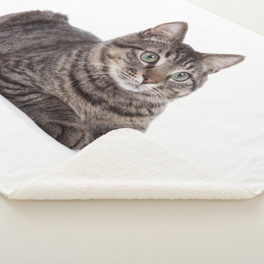 Couverture Sherpa Gray Tabby Cat (3/4)