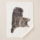 Couverture Sherpa Gray Tabby Cat (Devant)