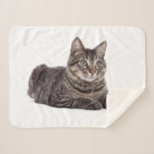 Couverture Sherpa Gray Tabby Cat (Devant (Horizontal))