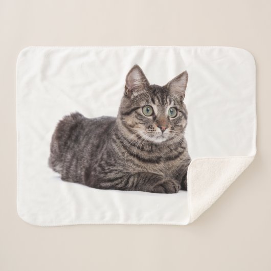 Couverture Sherpa Gray Tabby Cat (Devant (Horizontal))