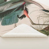 Couverture Sherpa Great Blue Heron Birds of America Audubon Imprimer (3/4)