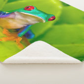 Couverture Sherpa Grenouille aux yeux rouges, Costa Rica (3/4)