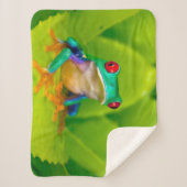 Couverture Sherpa Grenouille aux yeux rouges, Costa Rica (Devant)