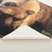 Couverture Sherpa Grizzly Bear vous regarde (3/4)