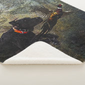 Couverture Sherpa GSP, Chasse faisan (3/4)