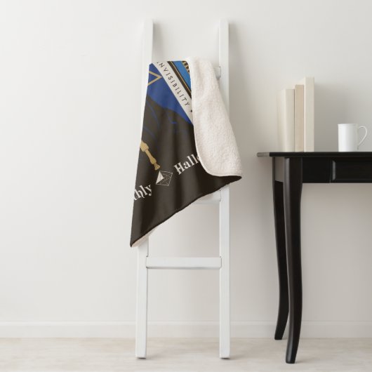 Couverture Sherpa Hachette, baguette et pierre pour les hirondelles  (En situation)