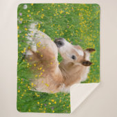 Couverture Sherpa Haflinger Horse Cute Foal Repose dans un lit à fle (Devant)