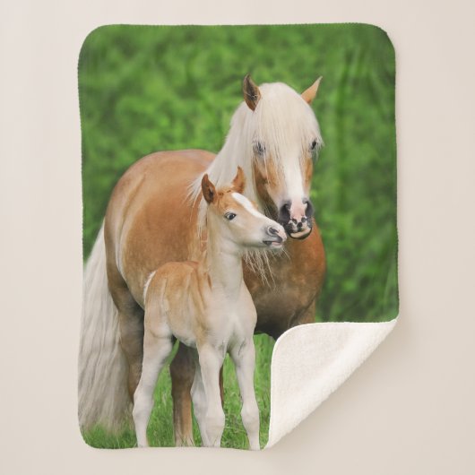 Couverture Sherpa Haflinger Horse mignon Bébé Foal Baiser Mum Pony P (Devant)