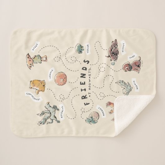 Couverture Sherpa HARRY POTTER™ | Amis de Hogwarts (Devant (Horizontal))