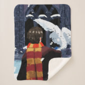 Couverture Sherpa HARRY POTTER™ & Hedwig dans la neige (Devant)