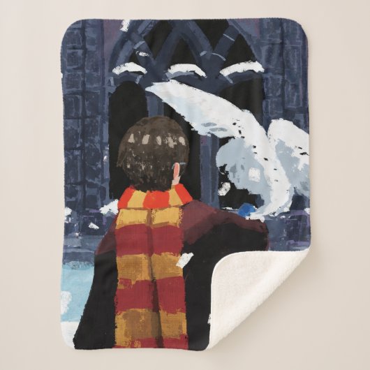 Couverture Sherpa HARRY POTTER™ & Hedwig dans la neige (Devant)