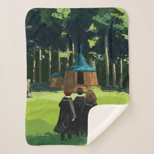Couverture Sherpa HARRY POTTER™, Ron, & Hermione à Hagrid's Hut (Devant)
