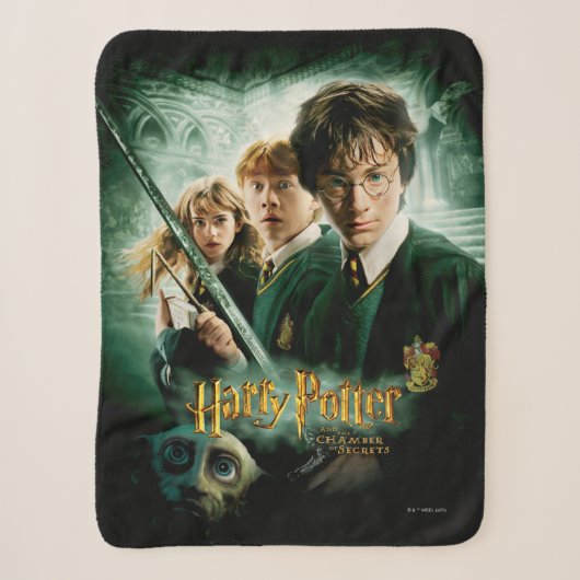 Couverture Sherpa Harry Potter Ron Hermione Dobby Photo de groupe (Devant)