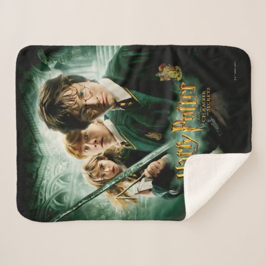 Couverture Sherpa Harry Potter Ron Hermione Groupe Dobby Saisie (Devant (Horizontal))