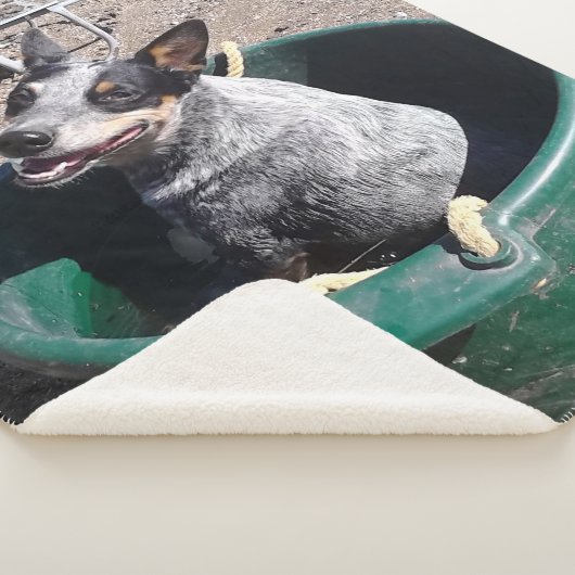 Couverture Sherpa Heeler bleu (3/4)