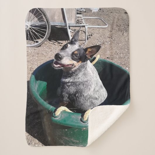 Couverture Sherpa Heeler bleu (Devant)