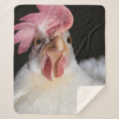 Couverture Sherpa Hen (Devant)