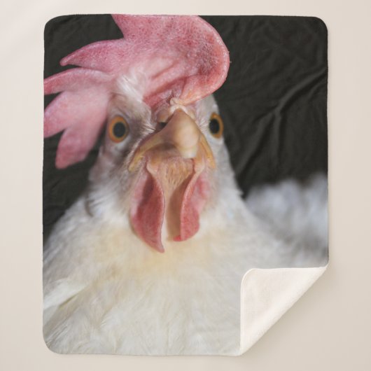 Couverture Sherpa Hen (Devant)