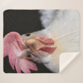 Couverture Sherpa Hen (Devant (Horizontal))