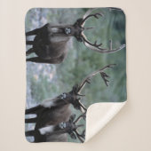 Couverture Sherpa Herbe d'élans | Mt. Baring, Washington (Devant)