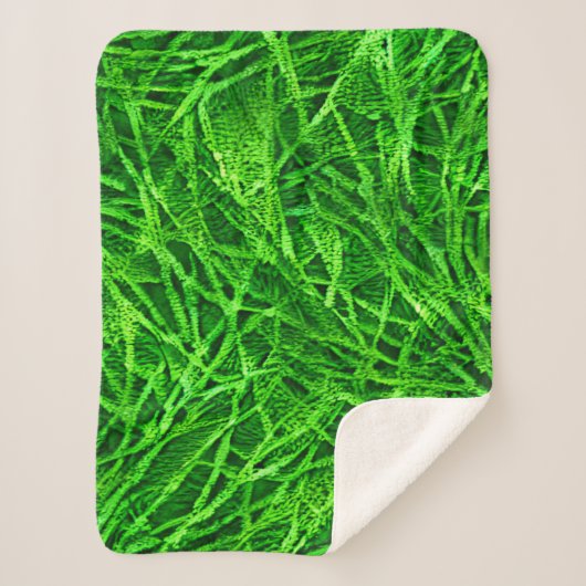 Couverture Sherpa Herbe Mossy (Devant)
