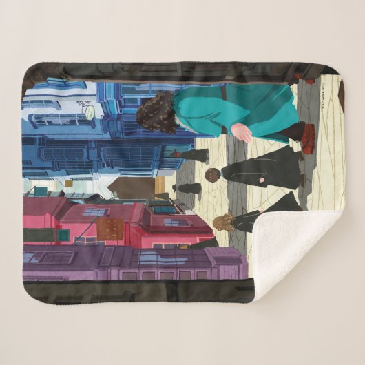 Couverture Sherpa Hermione, HARRY POTTER™ & Hagrid dans Diagon Alley (Devant (Horizontal))