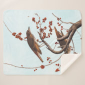 Couverture Sherpa Hermite Grive Audubon Oiseau aux baies rouges (Devant (Horizontal))