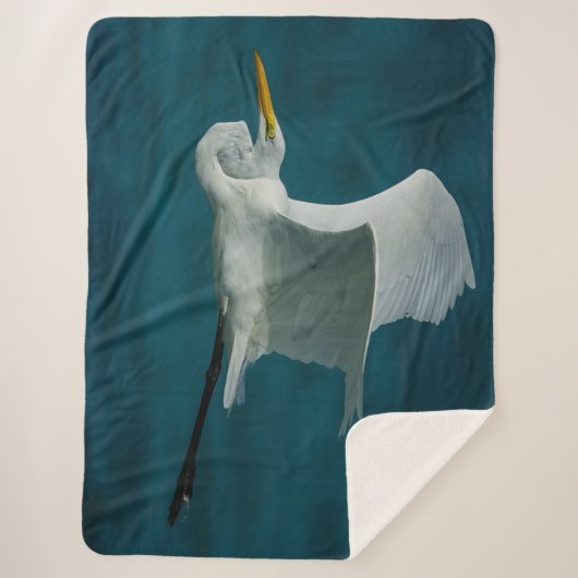 COUVERTURE SHERPA HERON (Devant)