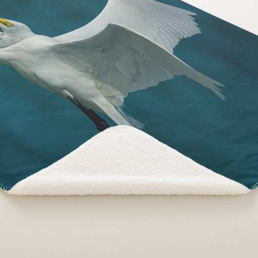 COUVERTURE SHERPA HERON (3/4)