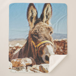 COUVERTURE SHERPA HI DONKEY