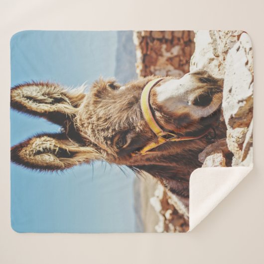 COUVERTURE SHERPA HI DONKEY (Devant (Horizontal))