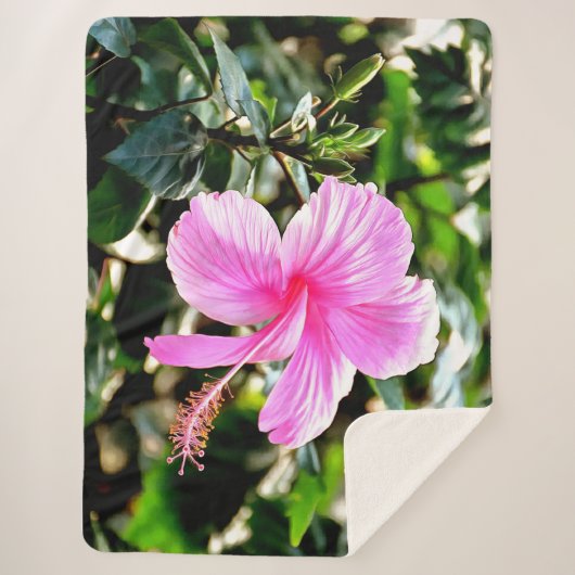 Couverture Sherpa Hibiscus rose tropical vif (Devant)