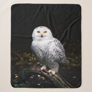 Couverture Sherpa Hibou des neiges majestueux d'hiver