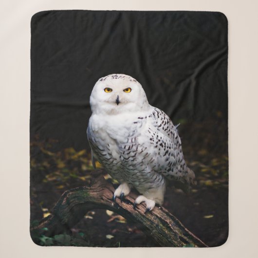 Couverture Sherpa Hibou des neiges majestueux d'hiver (Devant)