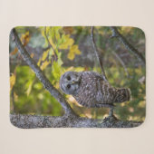 Couverture Sherpa Hibou rayé en automne | Comté d'Alger, MI (Devant (Horizontal))