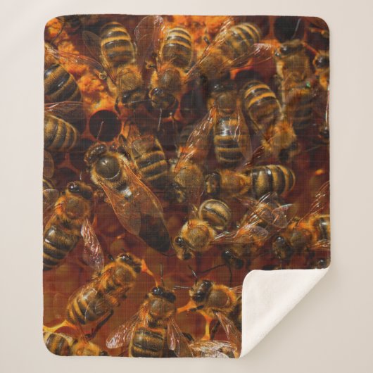 COUVERTURE SHERPA HONEYBEES 7 (Devant)