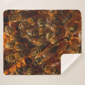 COUVERTURE SHERPA HONEYBEES 7 (Devant (Horizontal))