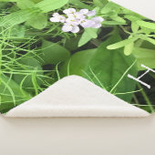 Couverture Sherpa Hope Small (3/4)