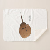 Couverture Sherpa Horseshoe crab (Devant (Horizontal))
