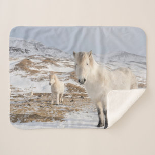 Couverture Sherpa Icelandic Horse   Blonduos, Iceland