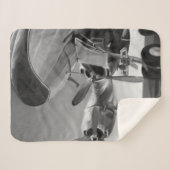 Couverture Sherpa Icône d'aviation (Devant (Horizontal))