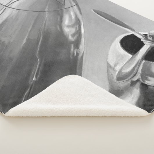 Couverture Sherpa Icône de l'aviation : Vue de fermeture (3/4)