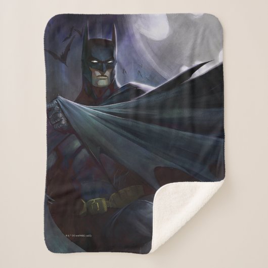 Couverture Sherpa Illustration de Batman sur la crise infinie (Devant)