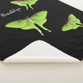 Couverture Sherpa Illustration de Luna Moth (3/4)